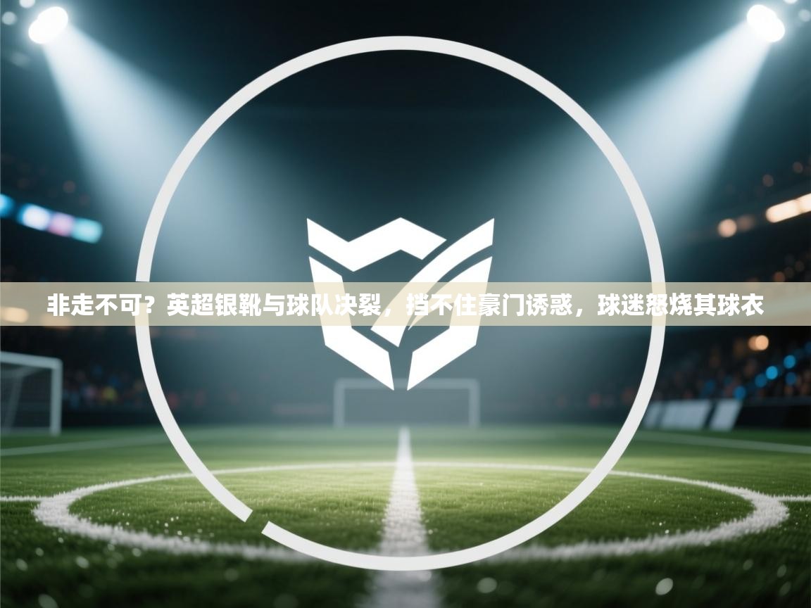 爱游戏真人体育娱乐-非走不可？英超银靴与球队决裂，挡不住豪门诱惑，球迷怒烧其球衣  第4张