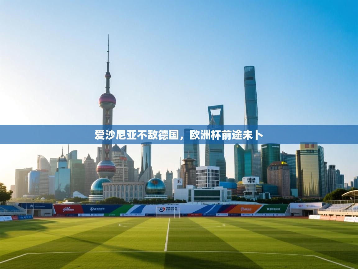 爱游戏体育娱乐罗马赞助商-爱沙尼亚不敌德国，欧洲杯前途未卜  第1张